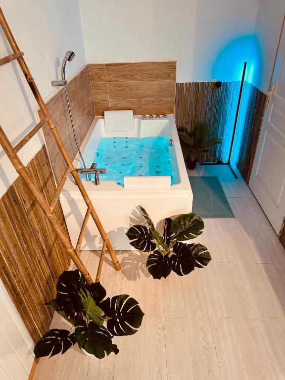 - une baignoire dans une pièce avec deux plantes en pot dans l'établissement Amour l Romance l Chambre Secrète l Balnéo Massage, à Rousson
