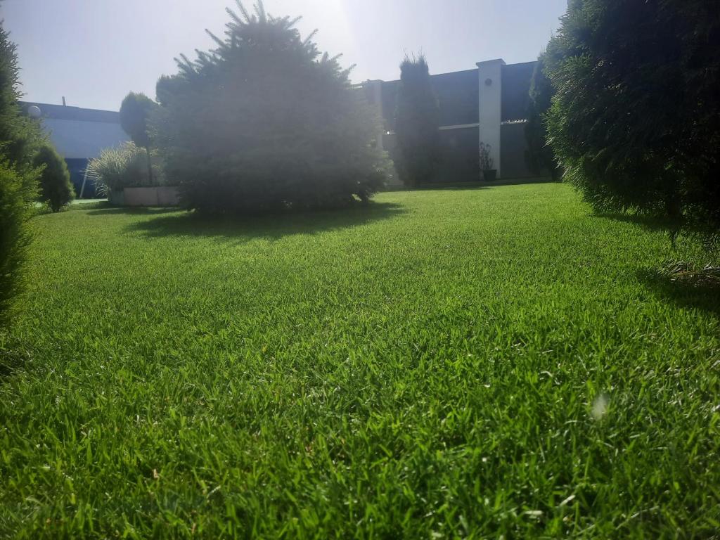 Zahrada ubytování Casa Izabela