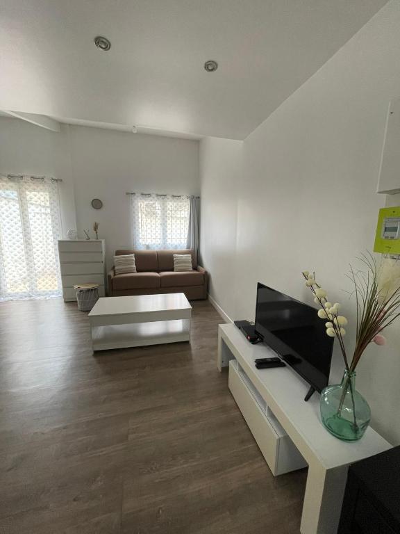 un salon avec un canapé et une télévision dans l'établissement Charmant logement à Romainville, à Romainville