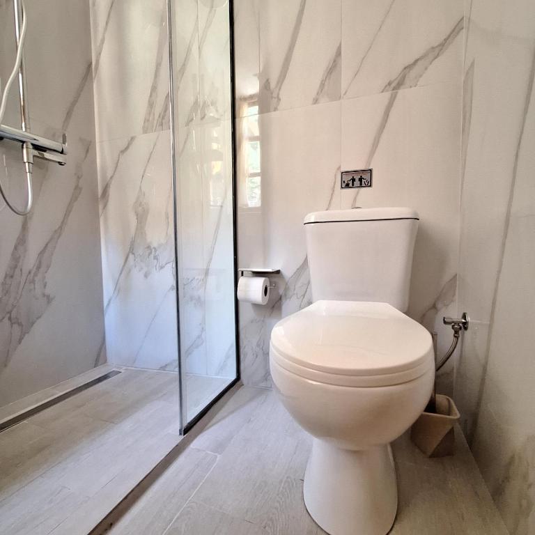 a bathroom with a toilet and a glass shower at To Pefko - Mezzanines - in Meyisti