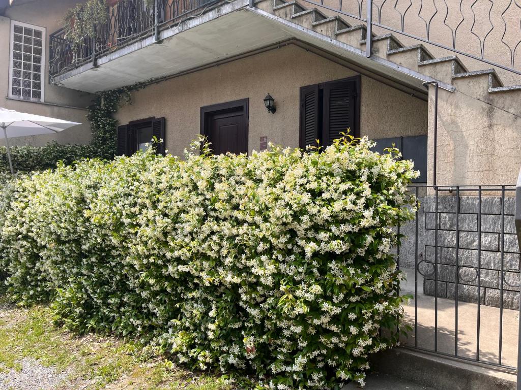 Il Cortile Como Single & Double Room in apartment NO HOTEL photo