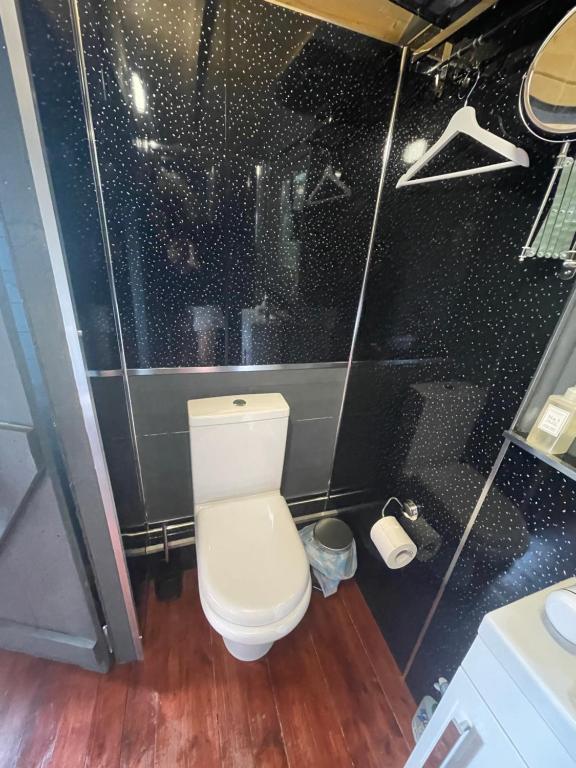 a small bathroom with a toilet and a shower at Jackdaws Shepherds Hut in Epwell