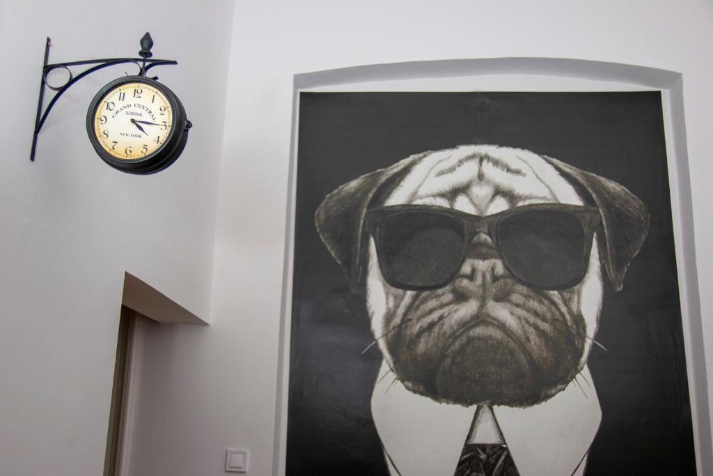 Mops Bob Apartment 1067 Budapest, Hunyadi tér 10 kép - 1