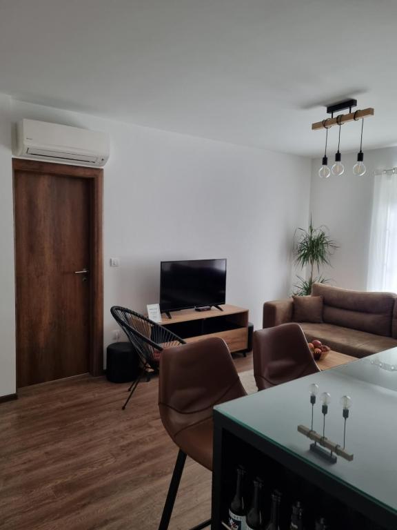 TV a/nebo společenská místnost v ubytování Apartmani Arilje