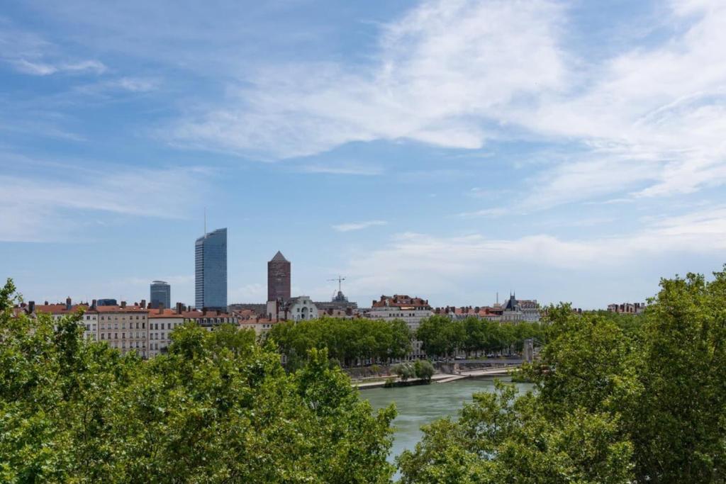 Blick auf einen Fluss mit einer Stadt im Hintergrund in der Unterkunft Le Central Rhône 2 - vue grandiose - in Lyon