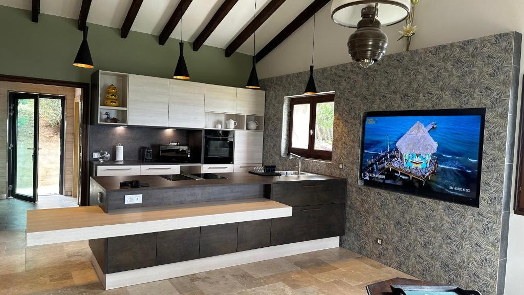 a kitchen with a counter with a tv on the wall at VbyOnyx in Olmeto