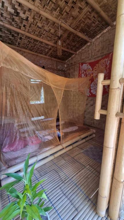 Uncle Hippie's Dream - 5