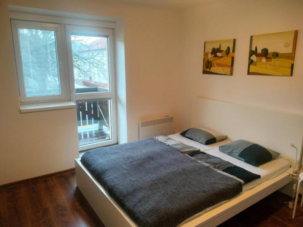 Postel nebo postele na pokoji v ubytování Apartmán ÁJA - Lipno nad Vltavou