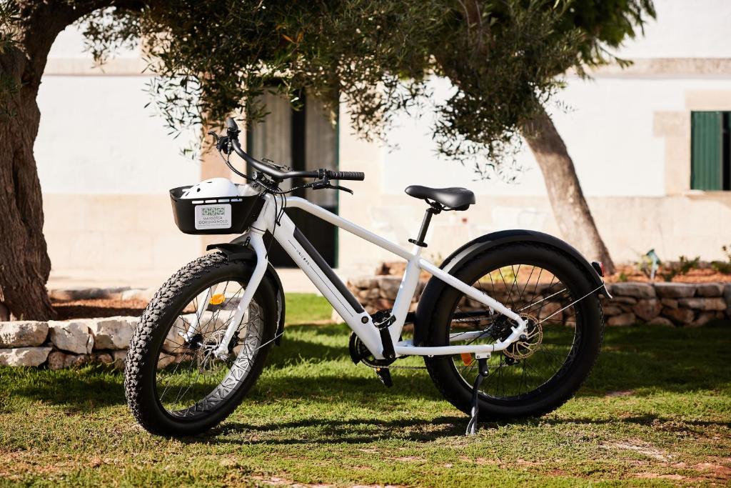 a bike parked on the grass next to a tree at Masseria Gorgognolo in Ostuni