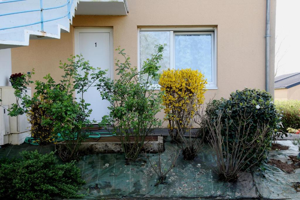 une maison avec des plantes devant une fenêtre dans l'établissement Résidence Pointe de la Verdure, au Mans