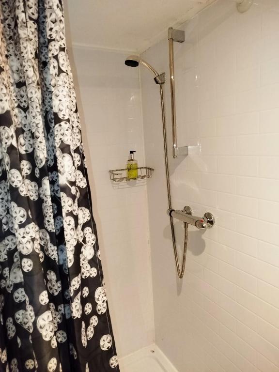 The Willows - Resim 29