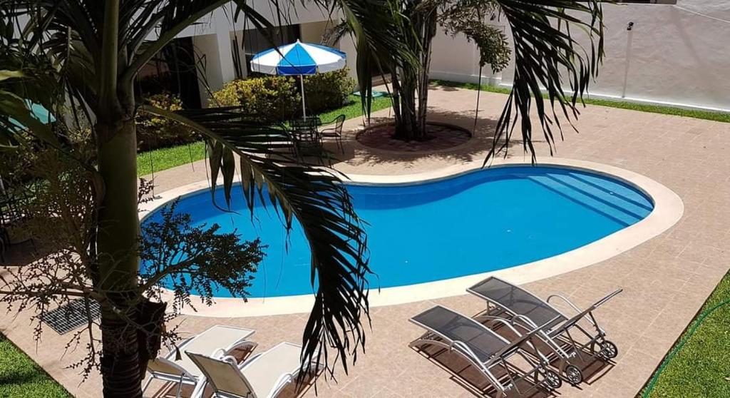 Bazén v ubytování Hotel Holly nebo v jeho okolí