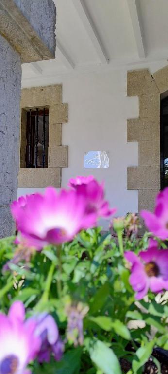 Zahrada ubytování Chavarri Etxea, casa indiana XBI00149