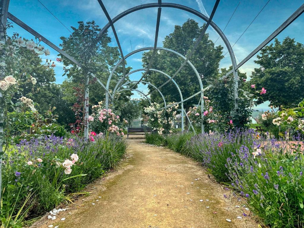 Le Studio des Vignes – photo 18