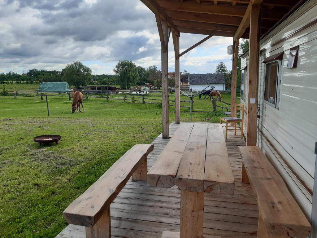Příroda nedaleko apartmánu