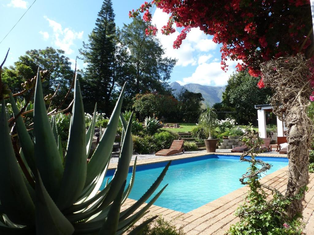 a swimming pool in a garden with a cactus at Marula Lodge in Swellendam