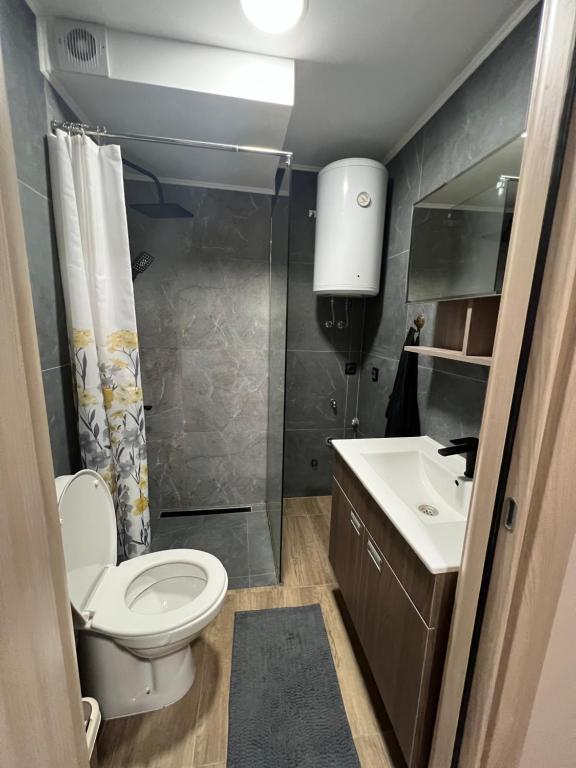 Ein Badezimmer in der Unterkunft Apartman Dašić