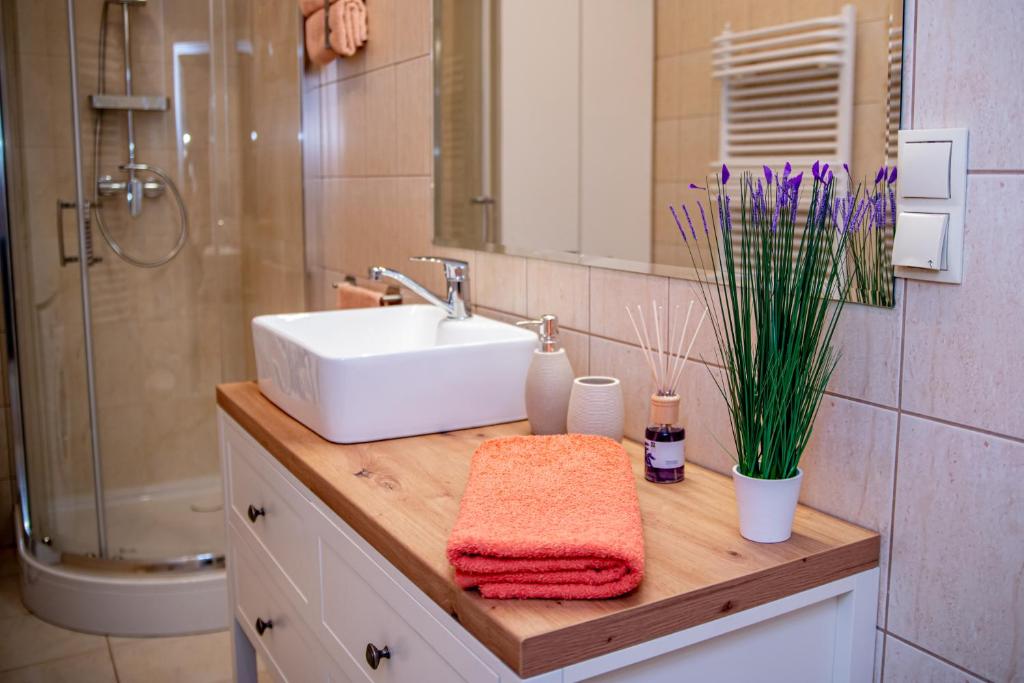 Apartments Częstochowa - Słoneczna Kamienica - Prywatny Parking free! - 18