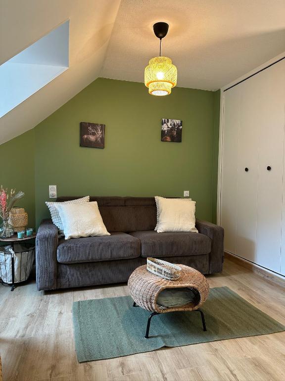 un salon avec un canapé et une chaise dans l'établissement Les Meublés de Luchon - L'échappée verte - Centre Luchon, Calme, Wifi, à Luchon