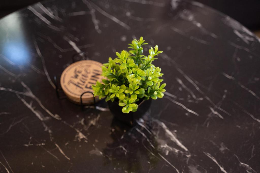 Agora Apartments - 19