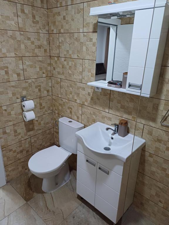 Koupelna v ubytování Prenoćište SILVER LUX Srebrno Jezero