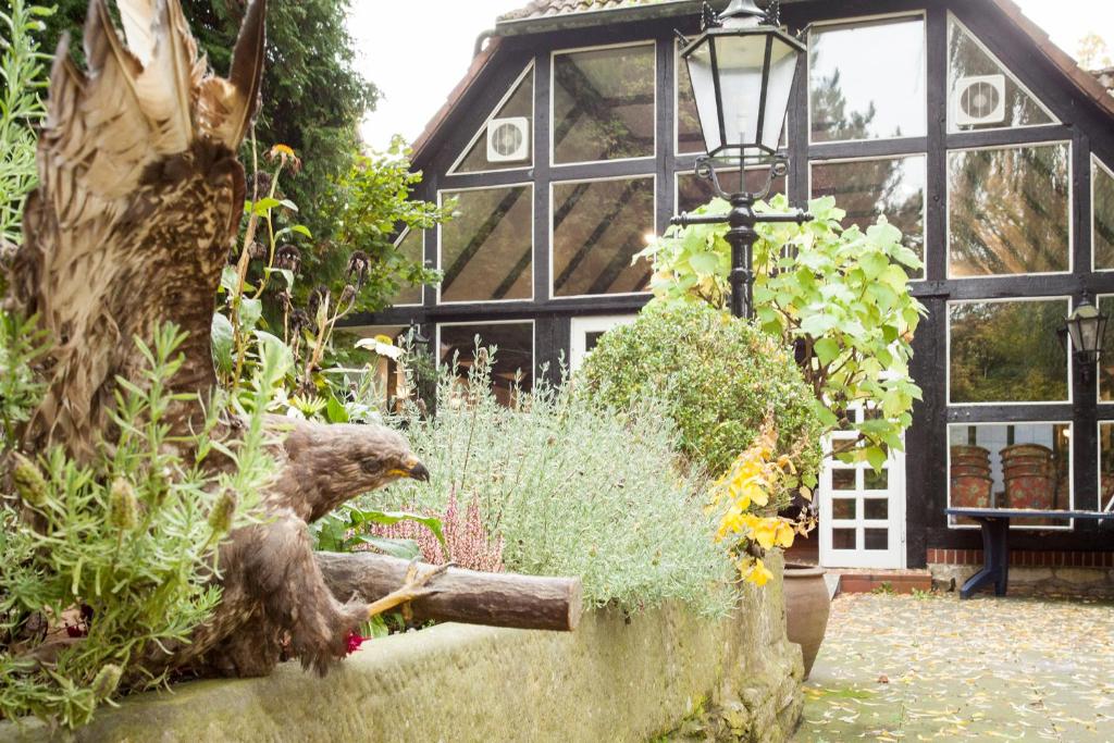 a bird sitting on a log in front of a house at Hotel Alter Wolf in Wolfsburg