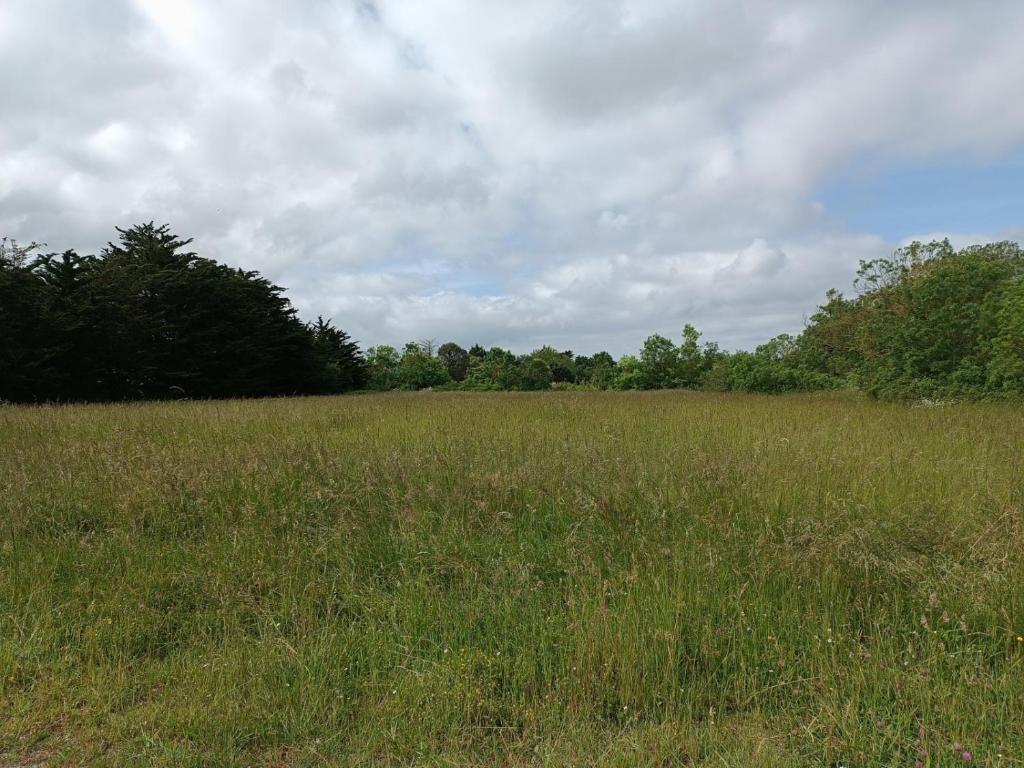 Gallery image of Maison à la Brée in La Brée-les-Bains