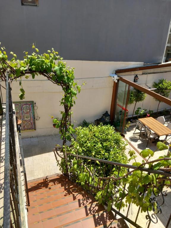 Zahrada ubytování Daffne Otel