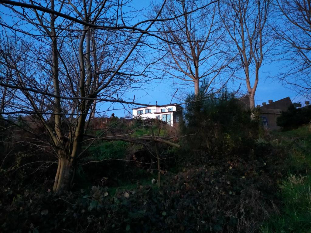 The Cyber Hut - Resim 11