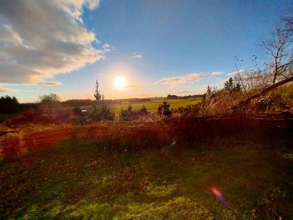 The Cyber Hut - Resim 14