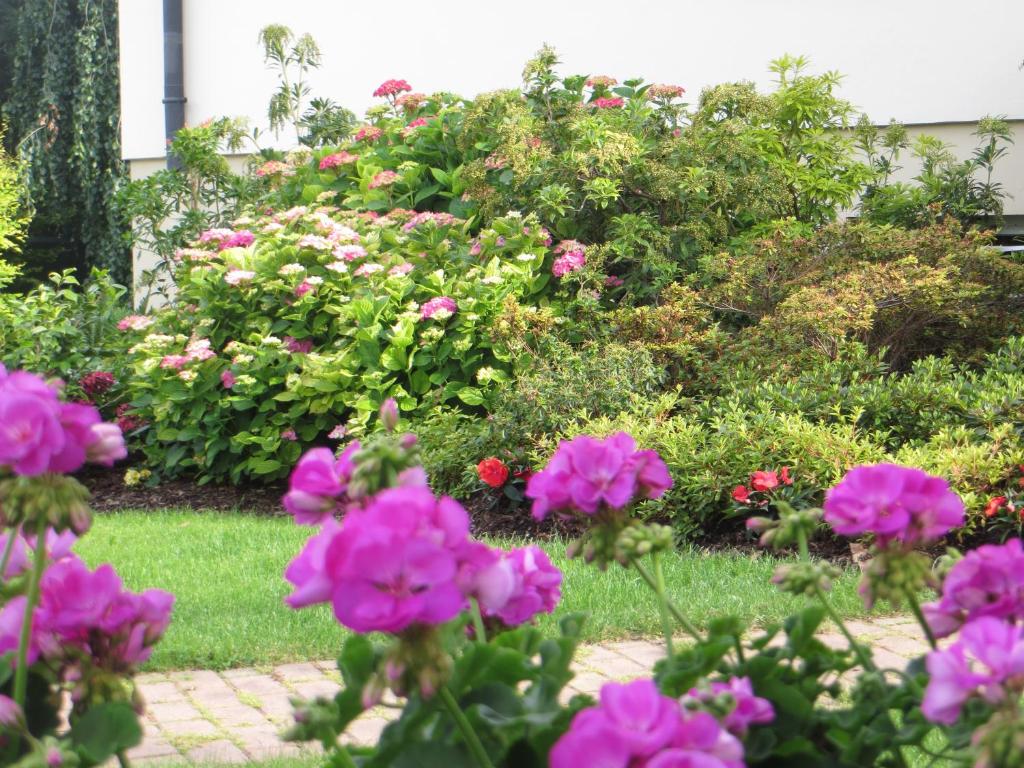 Zahrada ubytování Les Hortensias