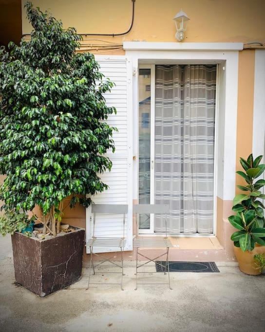 une chaise assise devant une fenêtre à côté d'un arbre dans l'établissement Petit studio de charme, à Villefranche-sur-Mer
