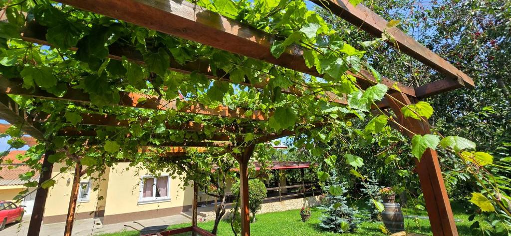 a pergola covered in vines in front of a house at La mama Miha in Agigea
