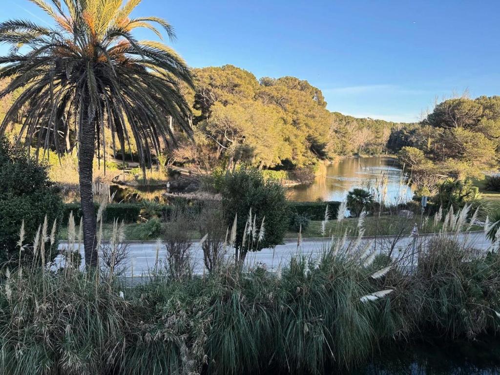 un palmier devant une rivière avec des arbres dans l'établissement Résidence Rivages - Appartement 2 chambres dans le domaine de la Coudoulière MAE-6121, à Six-Fours-les-Plages