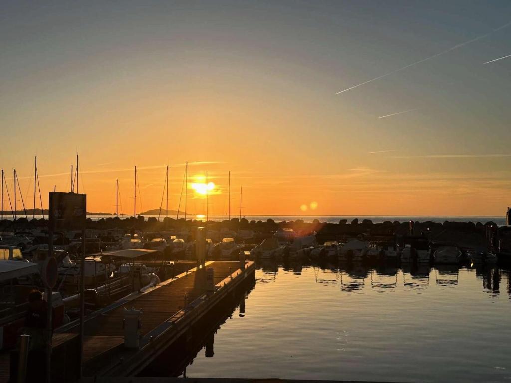 un coucher de soleil sur un port de plaisance avec des bateaux dans l'eau dans l'établissement Résidence Grand Large - Joli T2 dans le domaine de la Coudoulière avec piscine et tennis MAE-9701, à Six-Fours-les-Plages