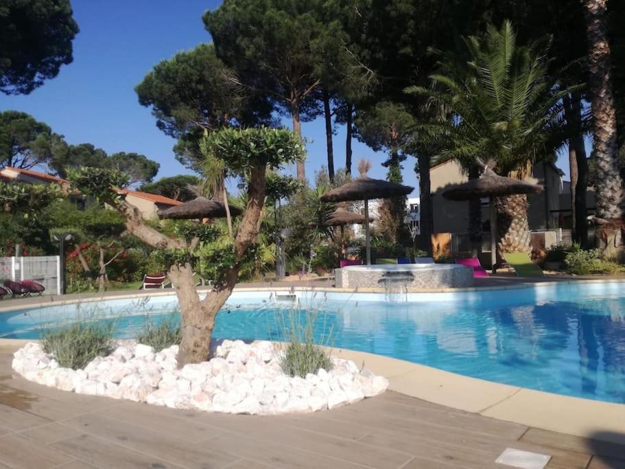 un arbre en face d'une piscine dans l'établissement Studio Tholema 5nuits minimum, à Argelès-sur-Mer