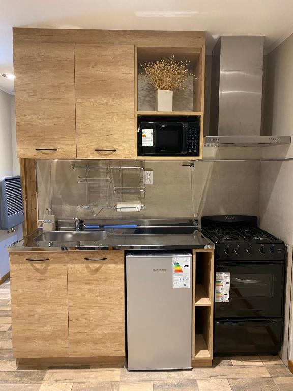 Complejo Quillaipe Apart Suite - APPARTAMENTO STUDIO Con Un Letto Matrimoniale