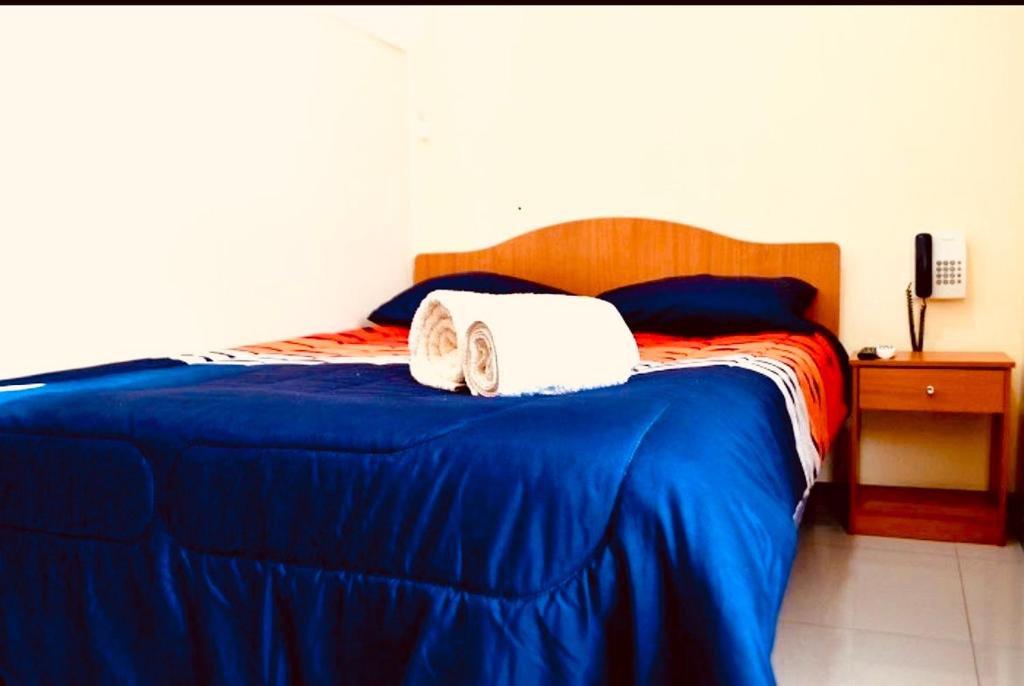 Postel nebo postele na pokoji v ubytování Hotel Blu Bascuñan