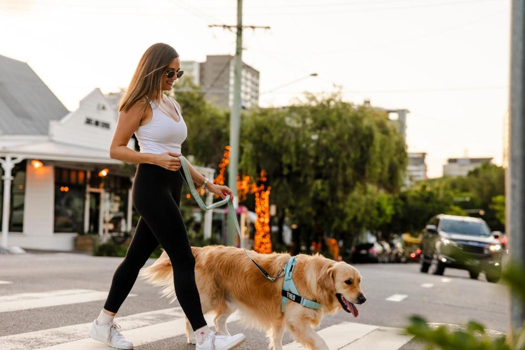 Sage Hotel James Street - Resim 4