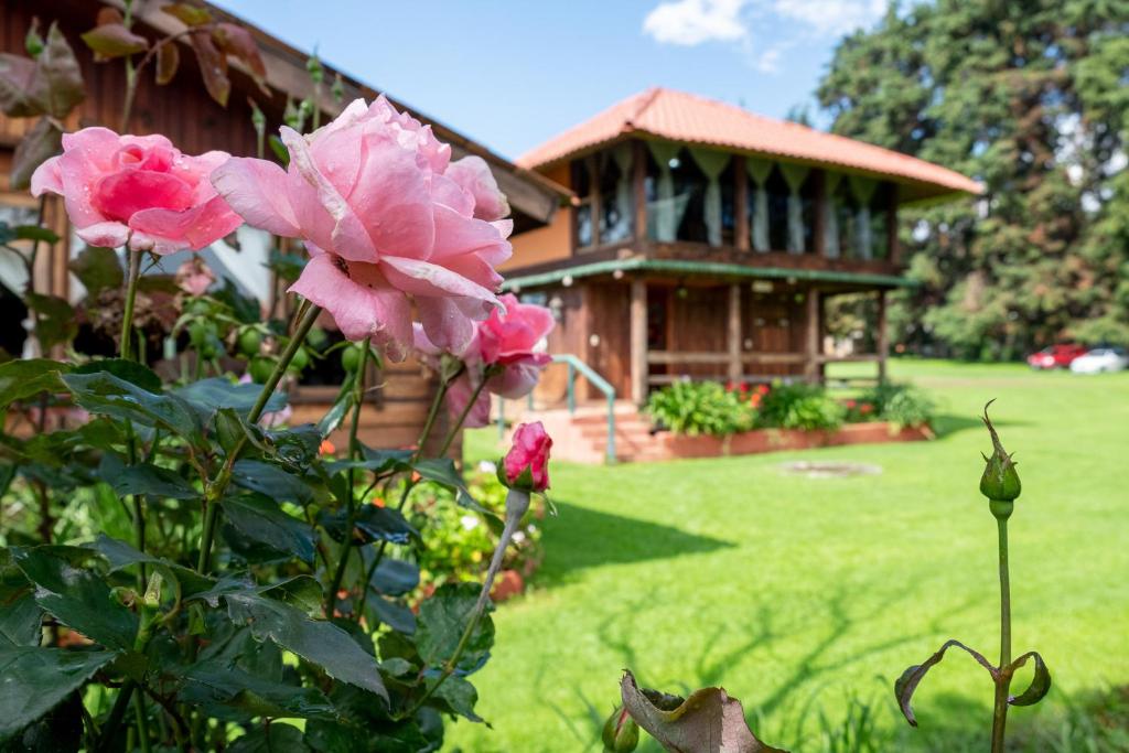 Zahrada ubytování Zirahuen Forest and Resort