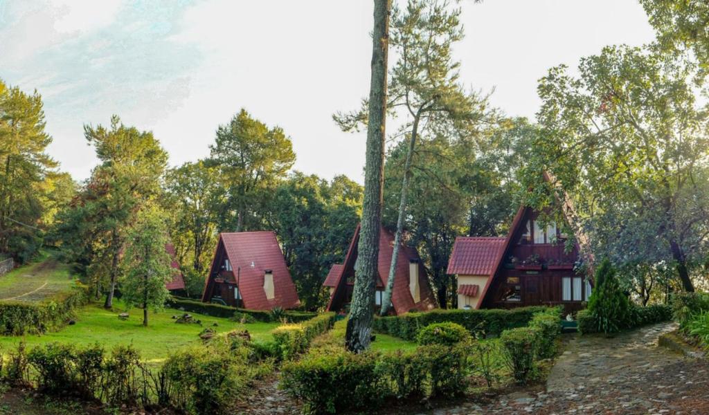 Zahrada ubytování Zirahuen Forest and Resort
