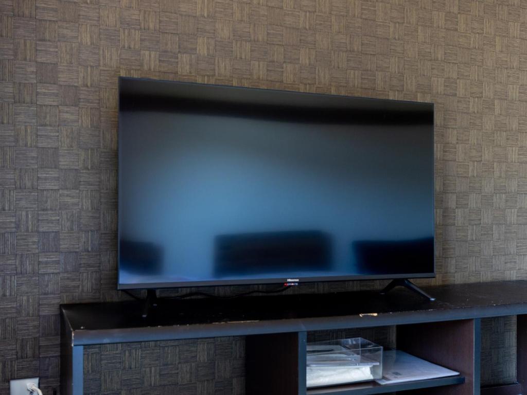 TV a/nebo společenská místnost v ubytování Kiso Mikawaya