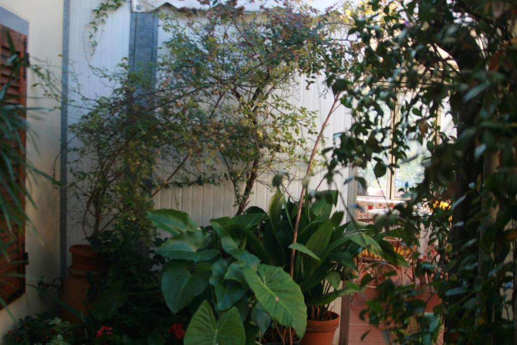 Zahrada ubytování Albergo Villa Sorriso