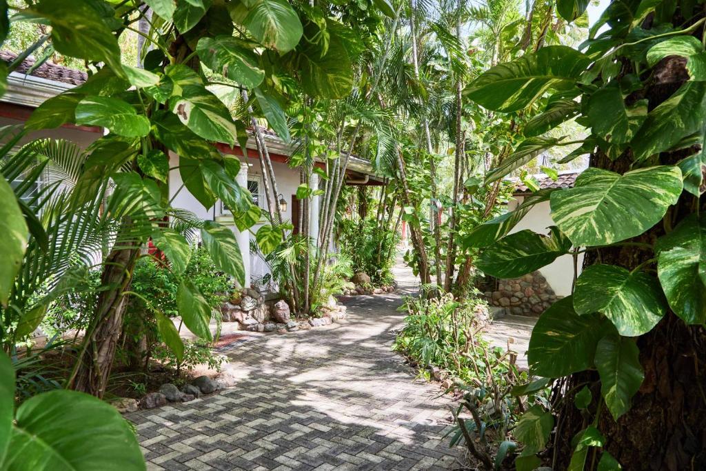 Zahrada ubytování Casa Corona Del Mar Tamarindo