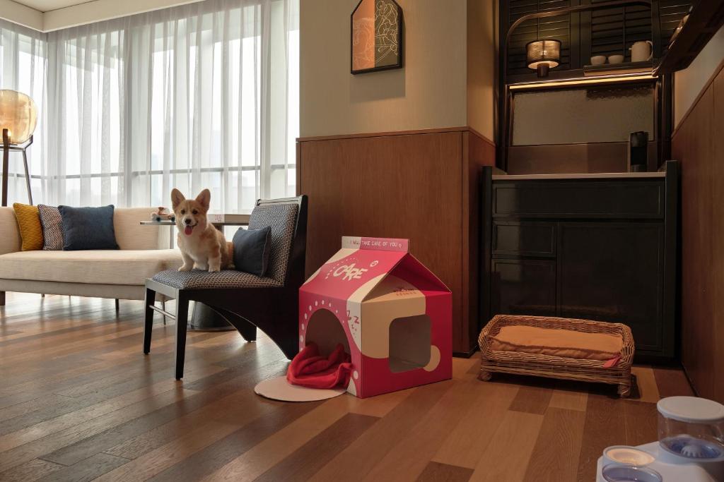 Posezení v ubytování Hyatt Centric Gaoxin Xi'An