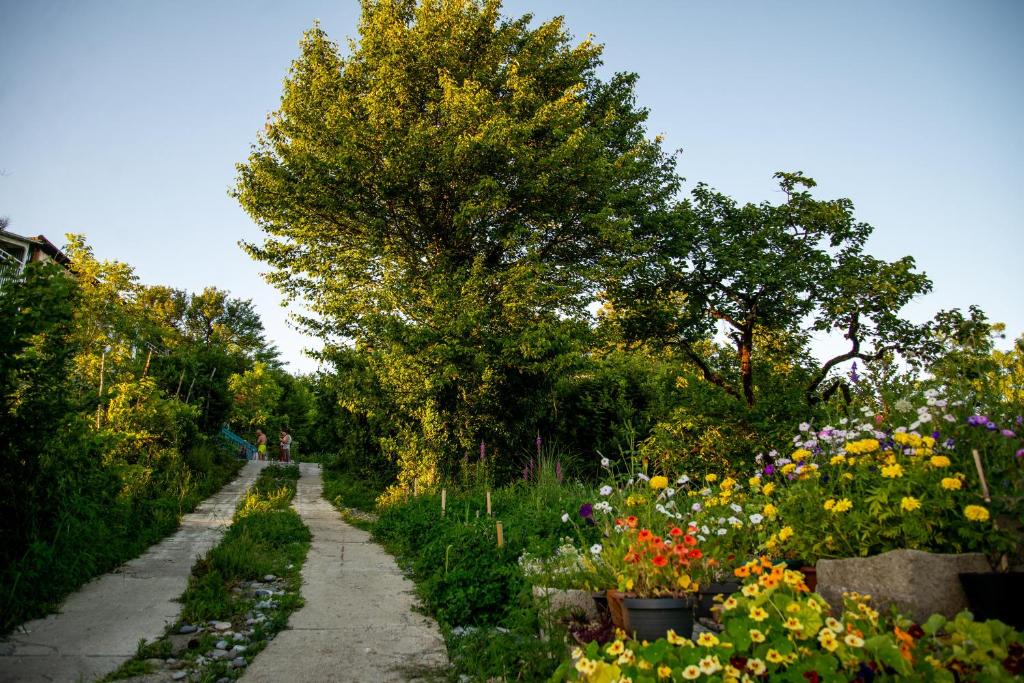 Zahrada ubytování Shromantic Garden