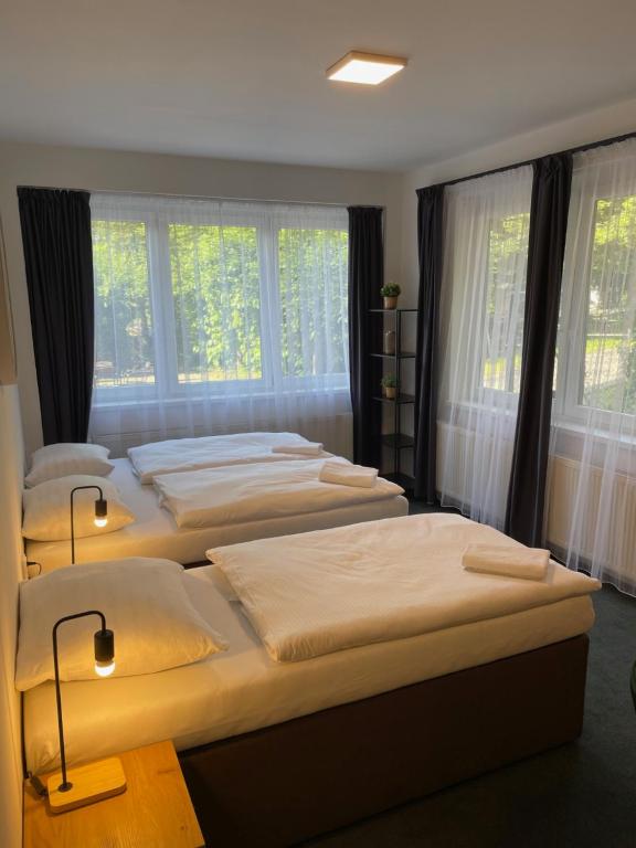 Postel nebo postele na pokoji v ubytování Apartmány Hrázní