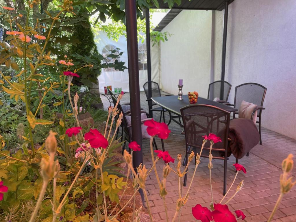 Zahrada ubytování Apartmány Hrázní