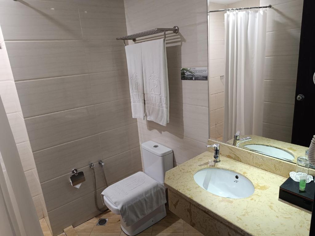 Koupelna v ubytování Lintas Platinum Hotel