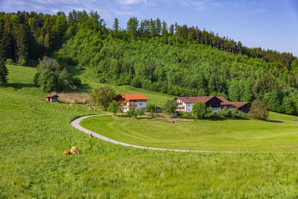 Příroda nedaleko farmy